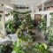 House Plants Design Ideas A Comprehensive Guide