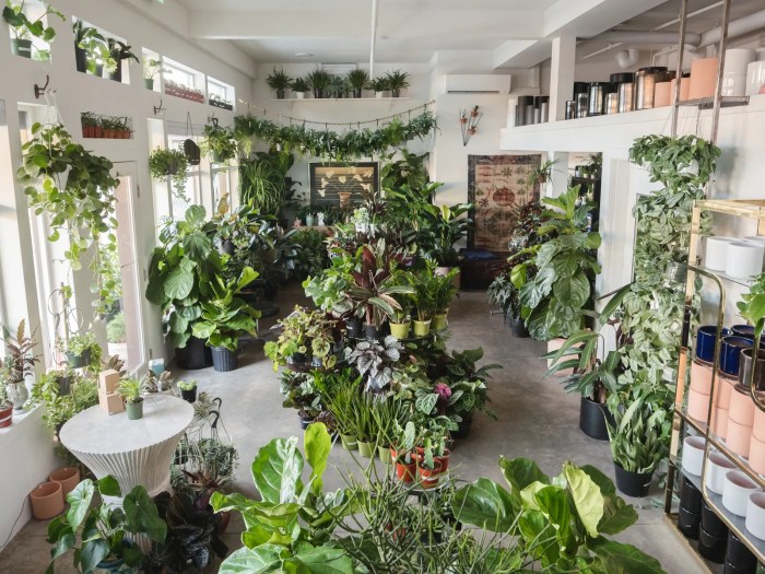 House plants design ideas