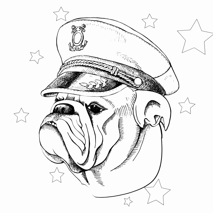 English bulldog coloring pages