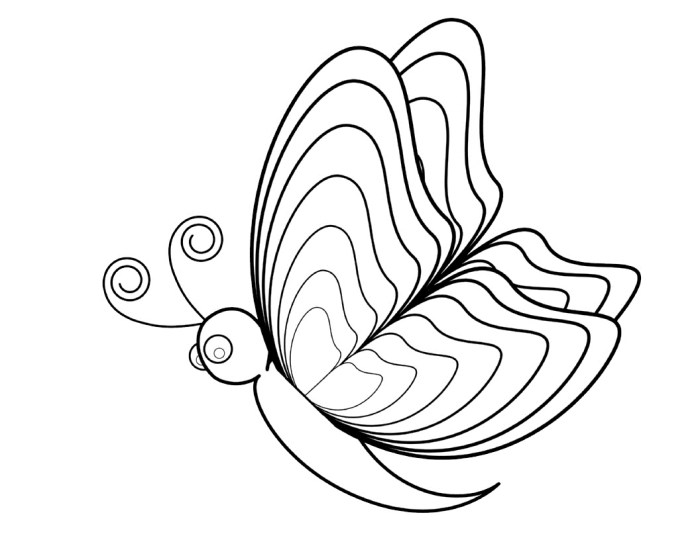 Cute butterfly coloring pages