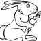 Printable Bunny Coloring Pages Fun for All Ages