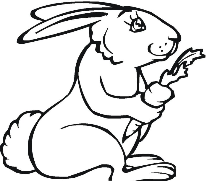 Printable bunny coloring pages