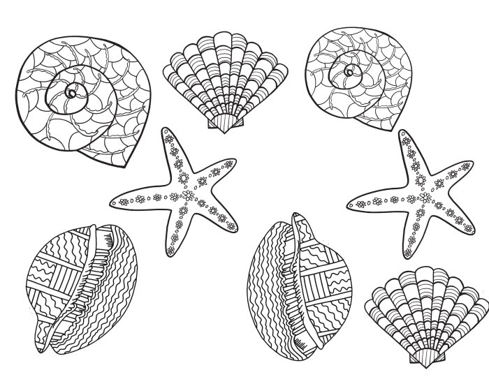 Sea shells coloring pages