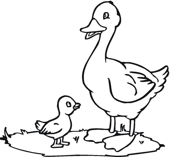 Ducks coloring pages luci]fer