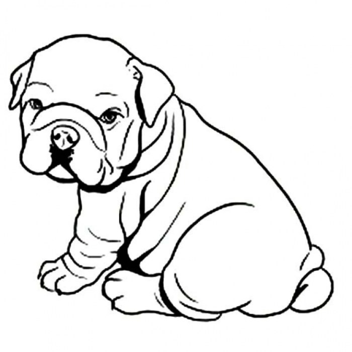 English bulldog coloring pages