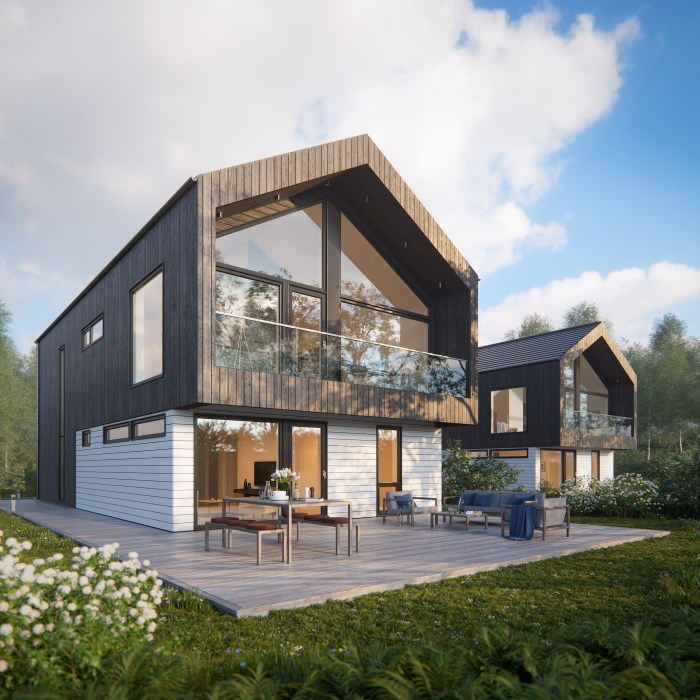 Modern scandinavian house design