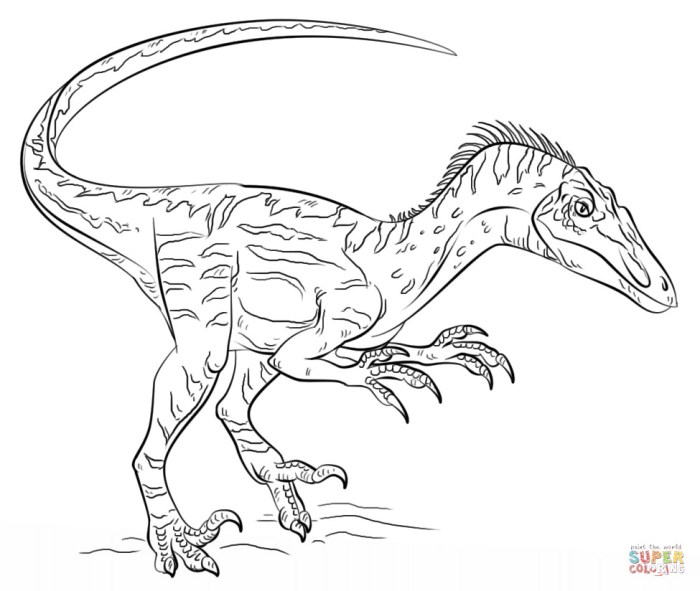 Raptor dinosaur coloring pages