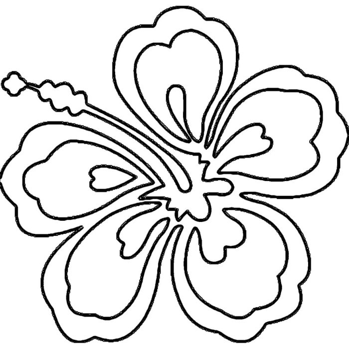 Hawaiian islands coloring page