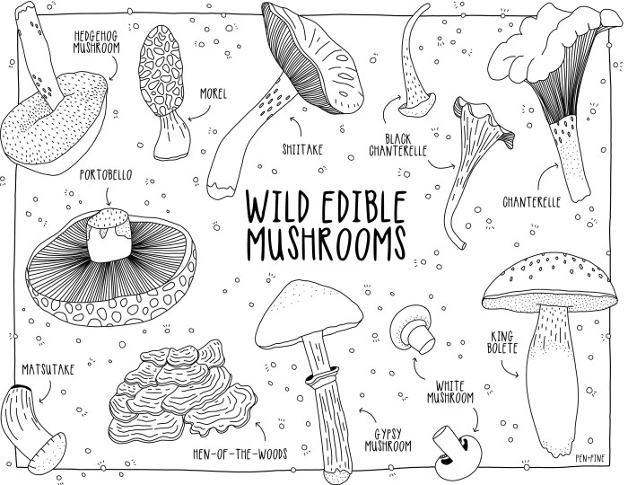 Mushroom coloring pages mushrooms printable cute cartoon activity drawing funny colouring color print toadstool kids sheets picture adult coloringpagesfortoddlers getdrawings